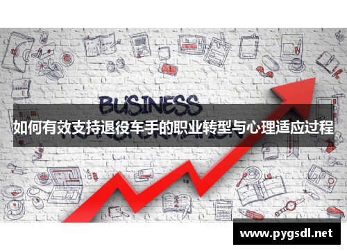 如何有效支持退役车手的职业转型与心理适应过程