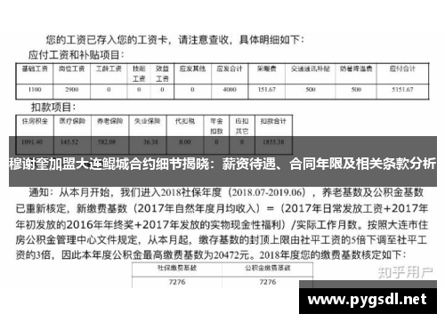 穆谢奎加盟大连鲲城合约细节揭晓：薪资待遇、合同年限及相关条款分析